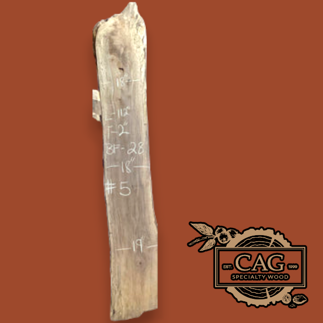 Ambrosia Maple Slabs