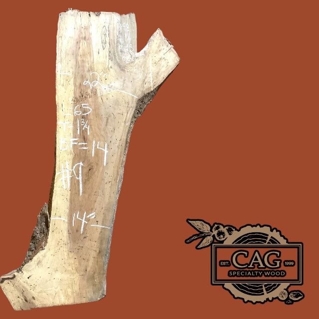 Pecan Slabs