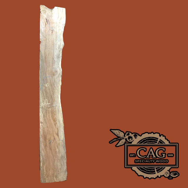 Sycamore Slabs