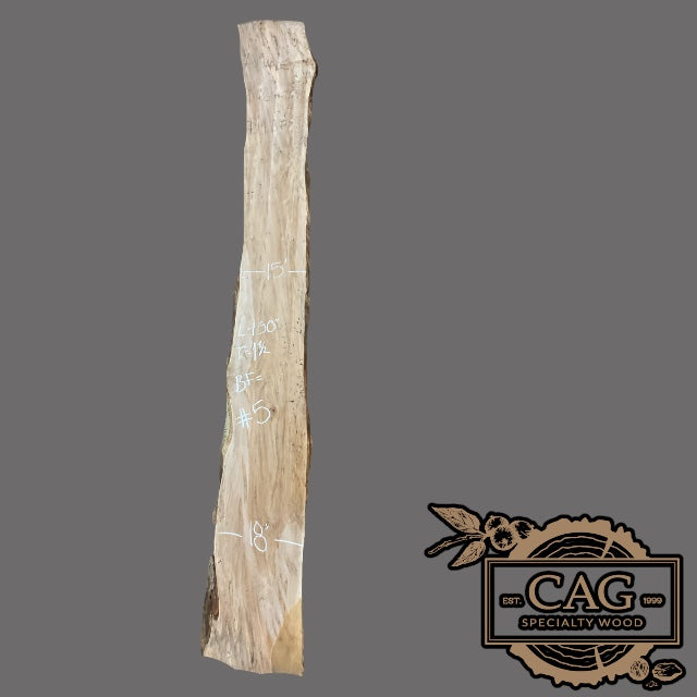 Ambrosia Maple Slabs