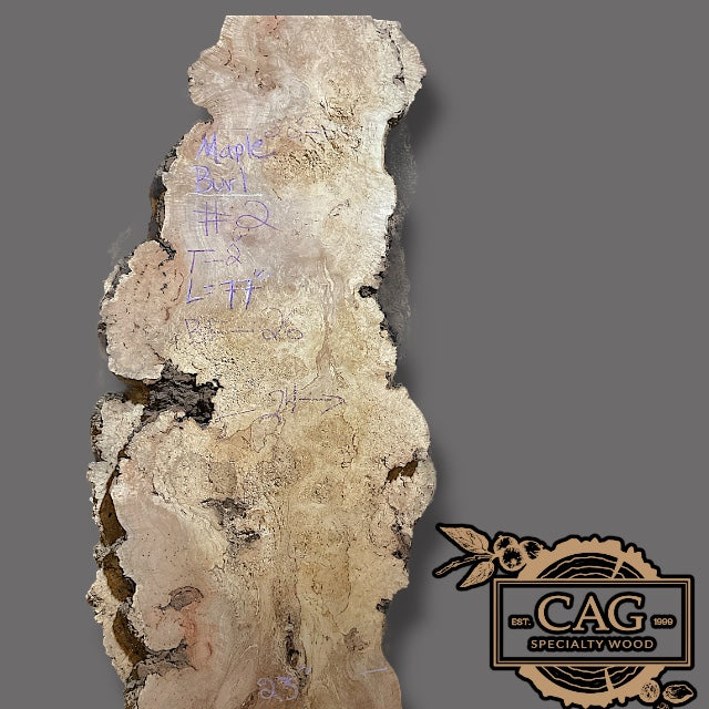 Silver Maple Burl