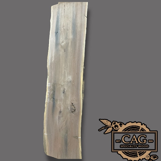 Walnut Slabs 400-499