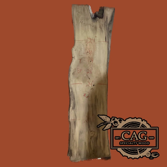 Magnolia Slabs