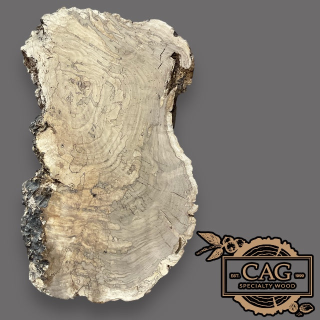 are tree burls worth money White Oak Burls