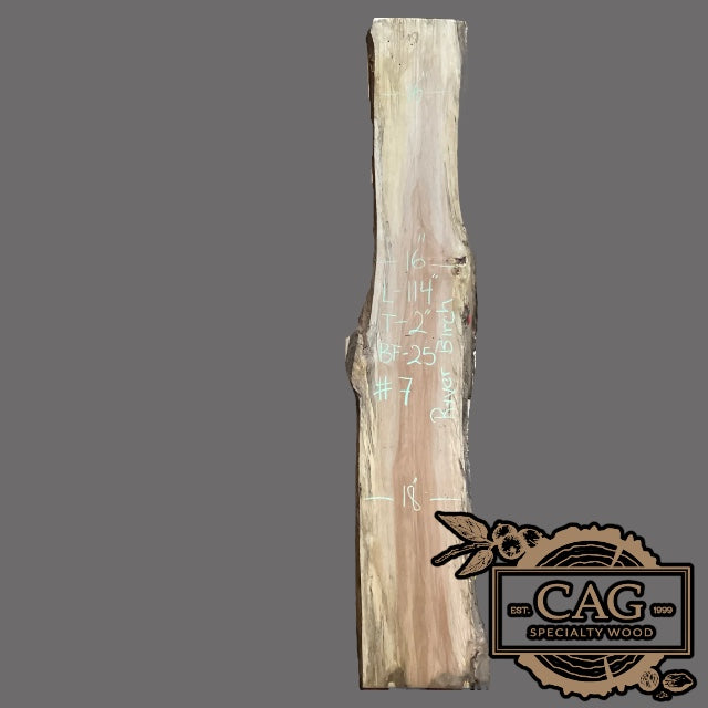 River Birch Slabs