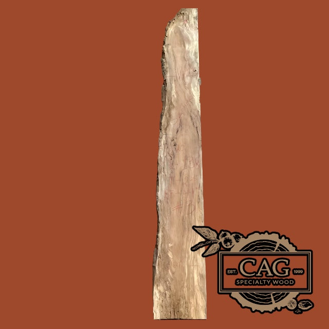 Sycamore Slabs