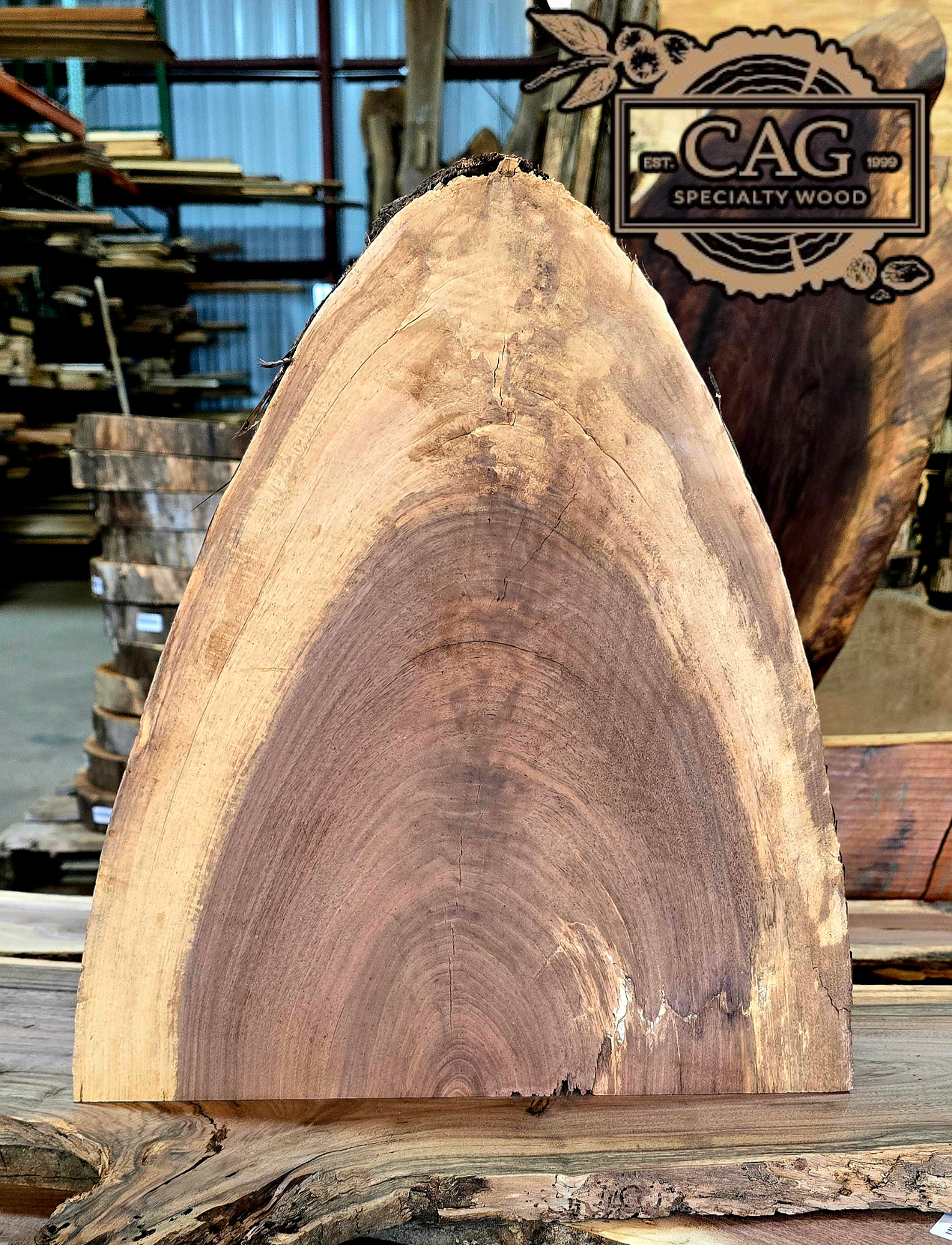 Black Walnut Crosscut Cookies / Rounds / Crosscuts