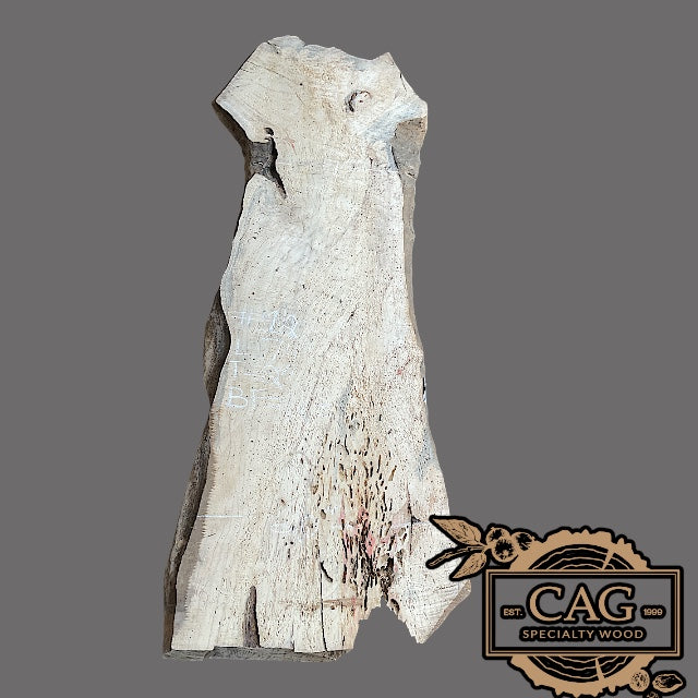 Flaming Red Box Elder Slabs