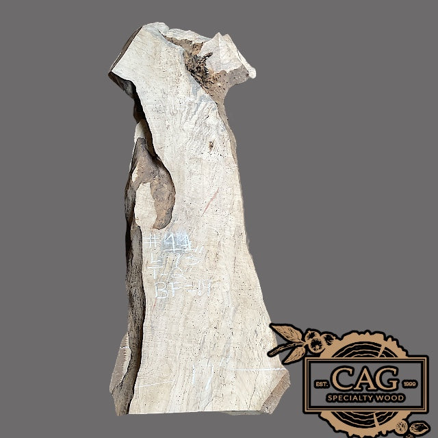 Flaming Red Box Elder Slabs