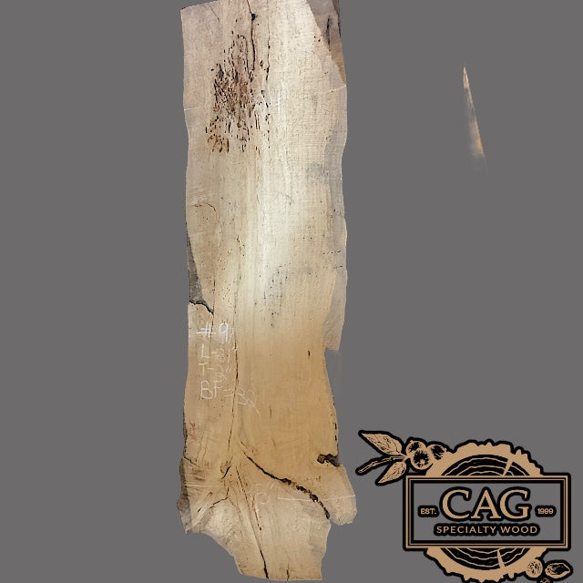 Flaming Red Box Elder Slabs