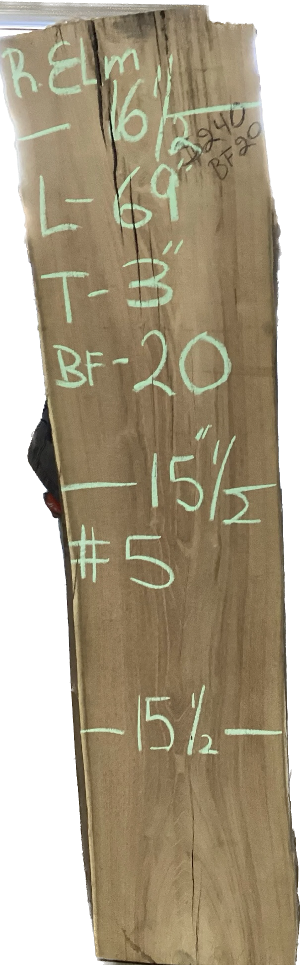 Red Elm Slabs