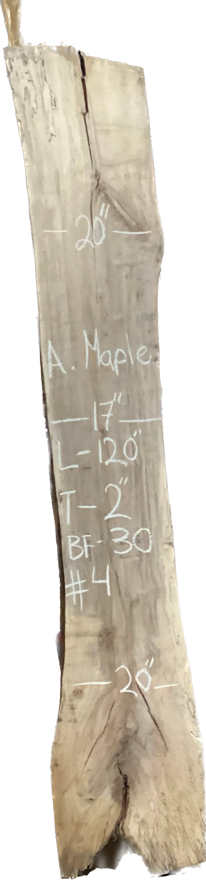 Ambrosia Maple Slabs