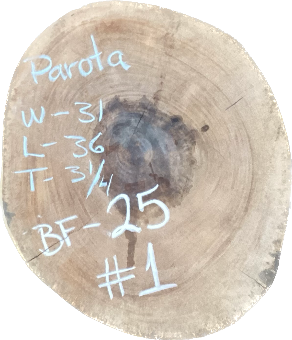 Giant Parota Crosscut Cookies - Imported from Costa Rica