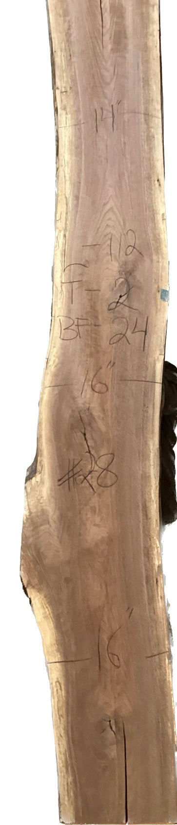 Walnut Slabs 8/4- 1-100
