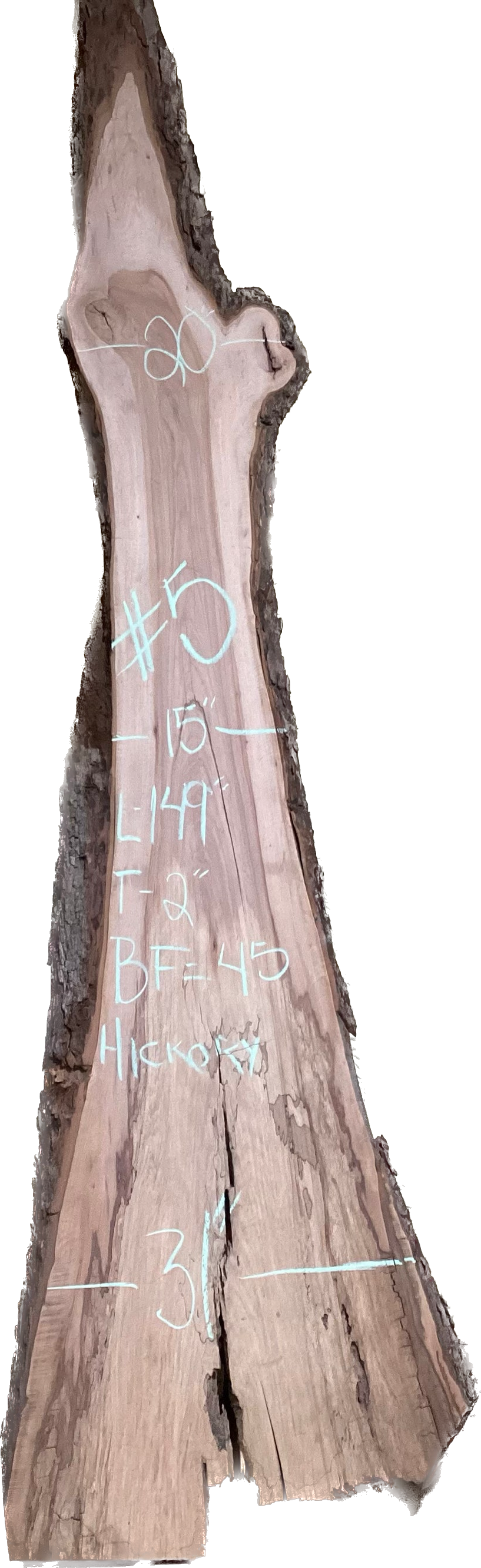 Hickory Slabs