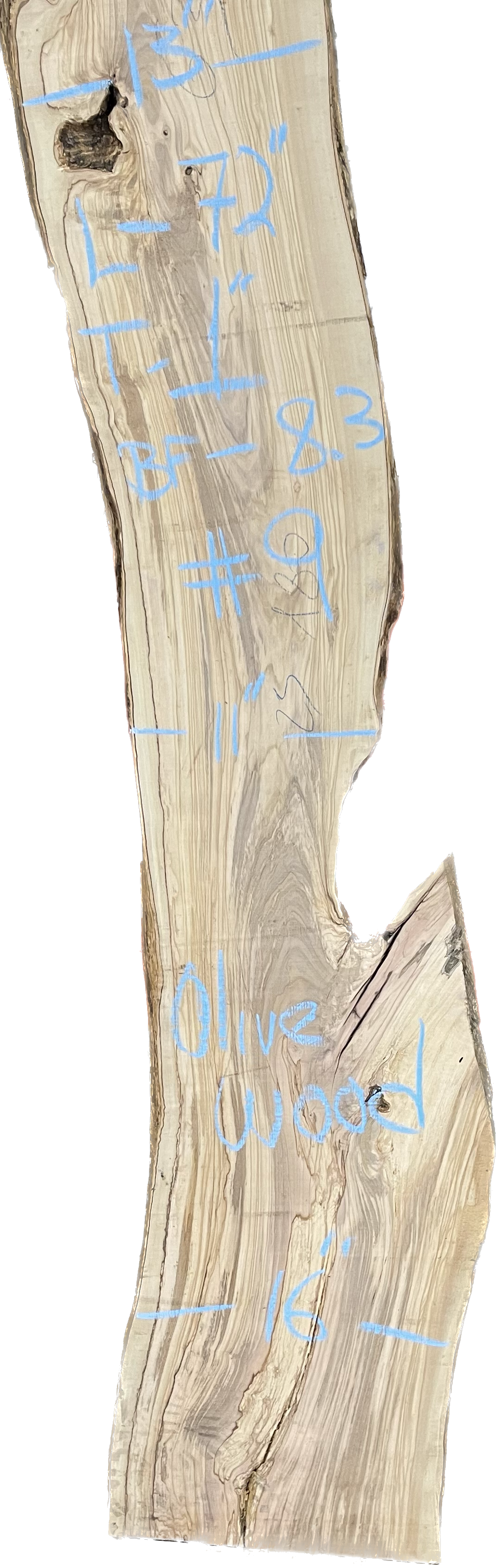 Olive Wood Slabs