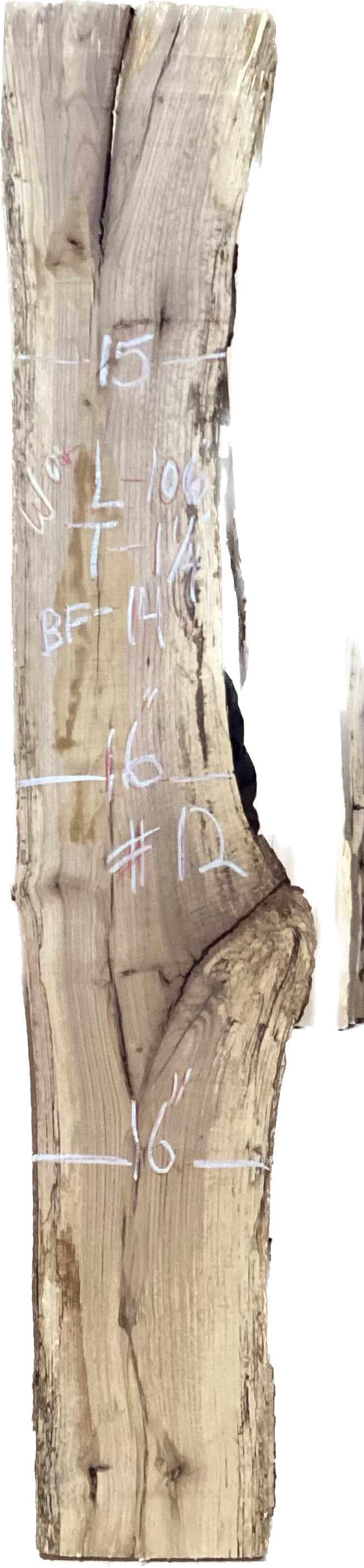 White Oak Slabs #101-200