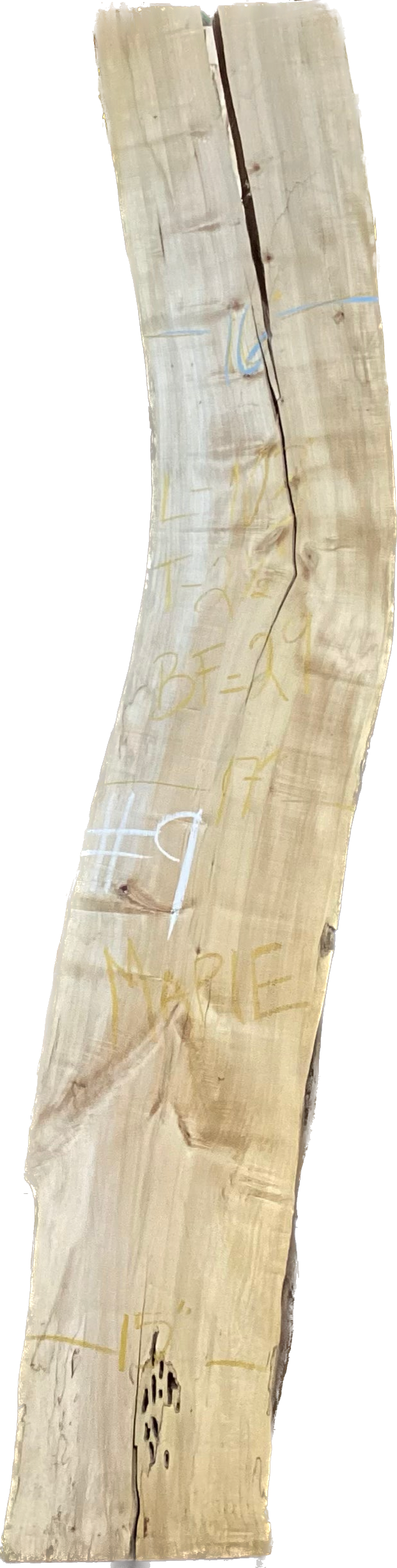 Maple Slabs