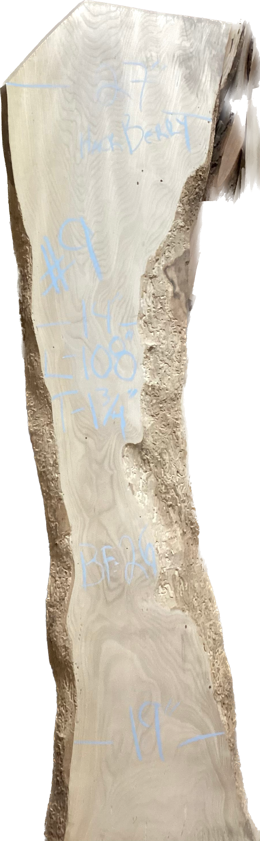 Hackberry 8/4 Slabs