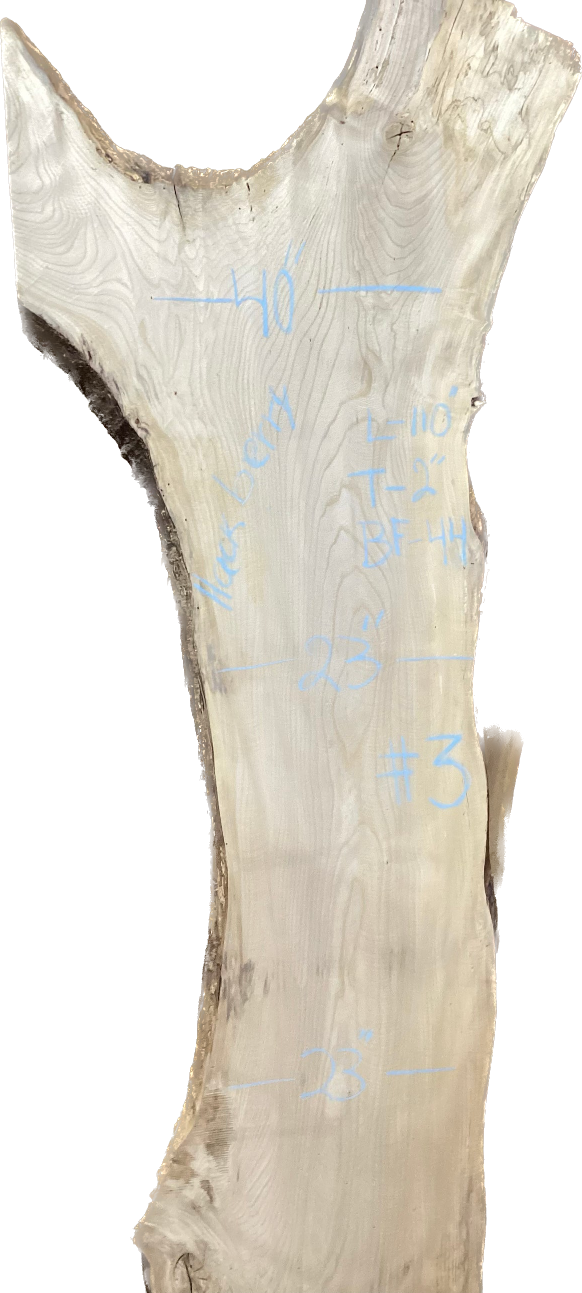 Hackberry 8/4 Slabs