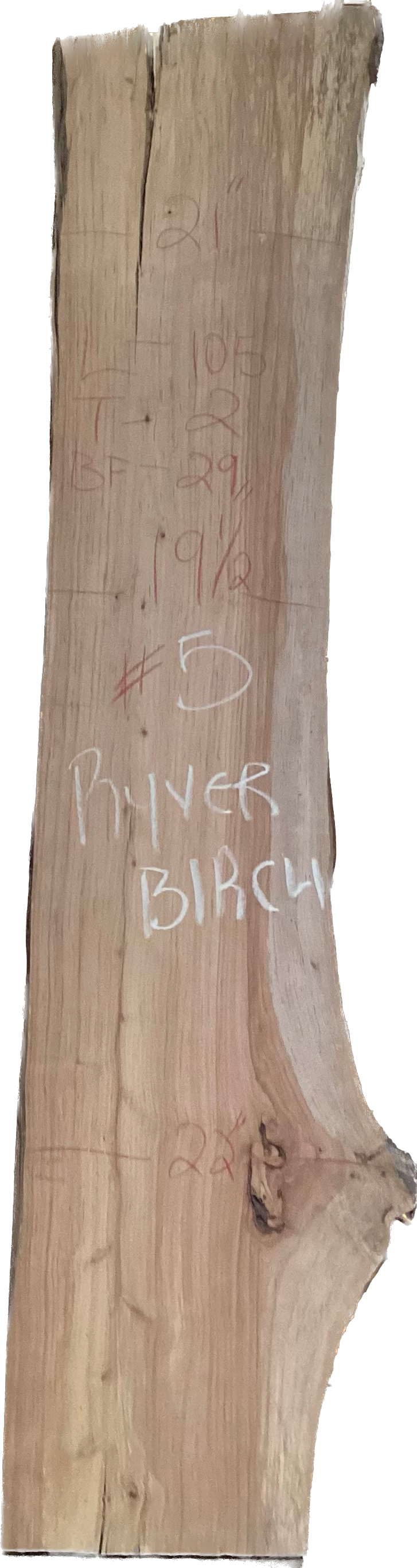 River Birch Slabs
