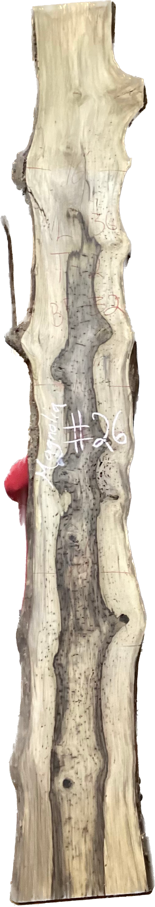 Magnolia Slabs