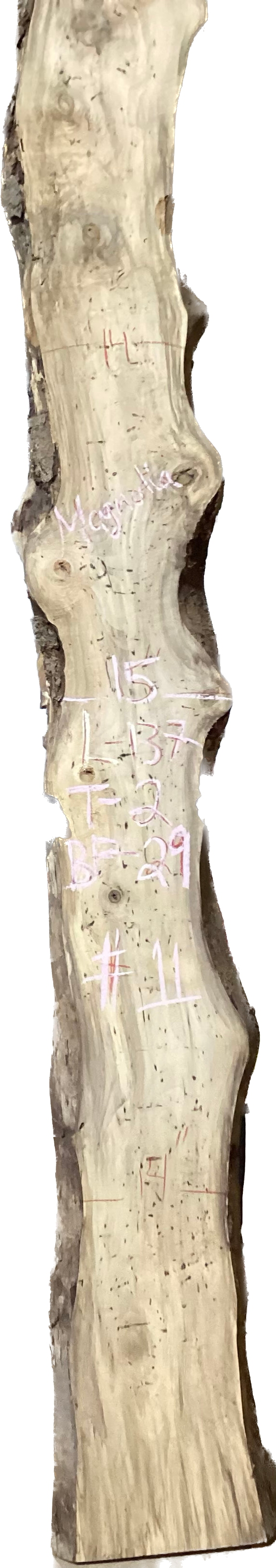 Magnolia Slabs