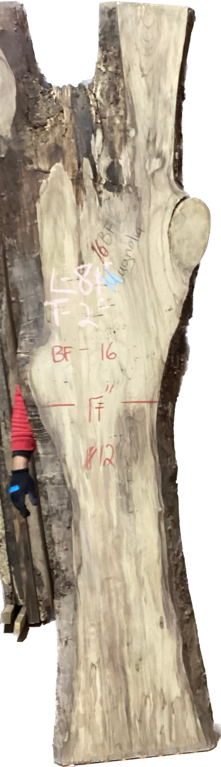 Magnolia Slabs