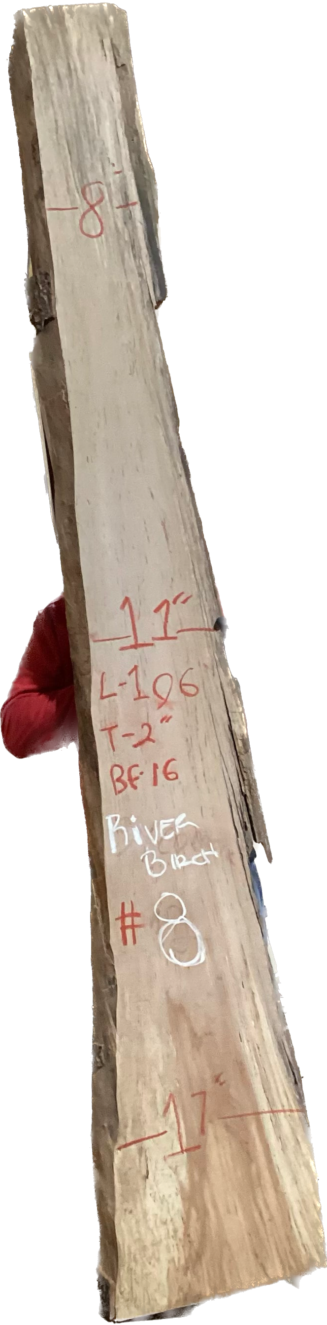 River Birch Slabs