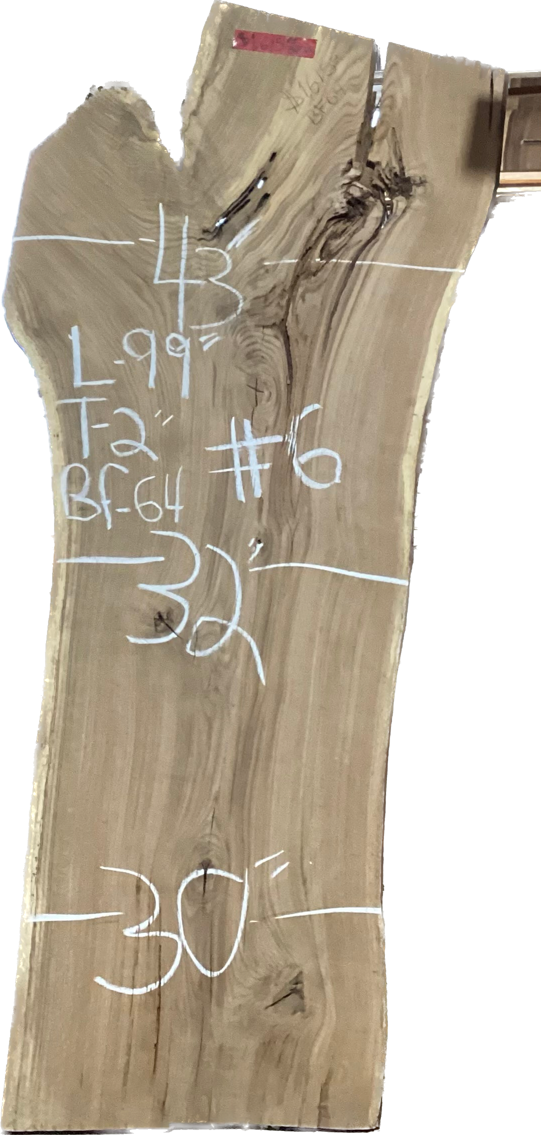 Oak Chestnut (Chestnut Oak) Slabs