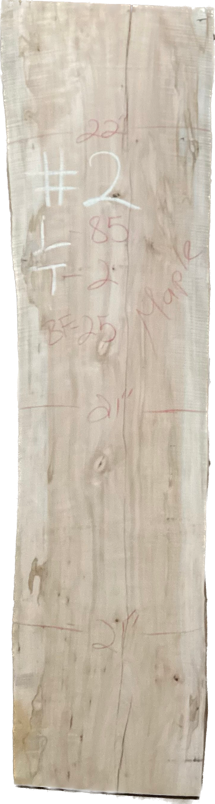 Maple Slabs