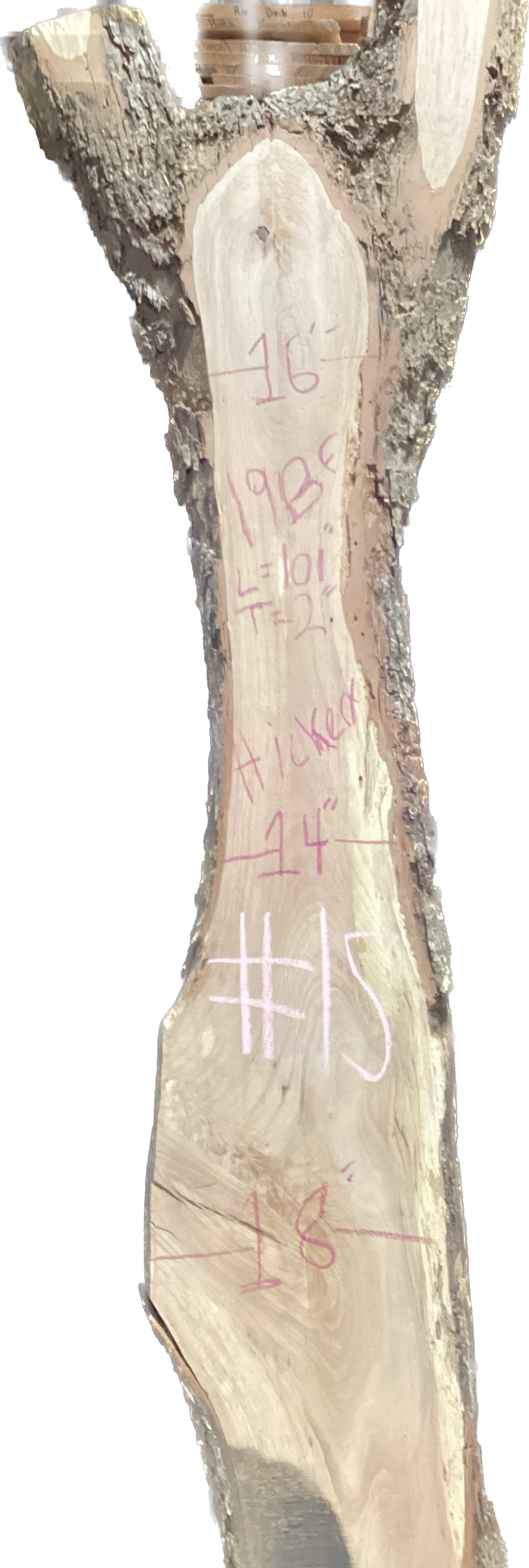 Hickory Slabs