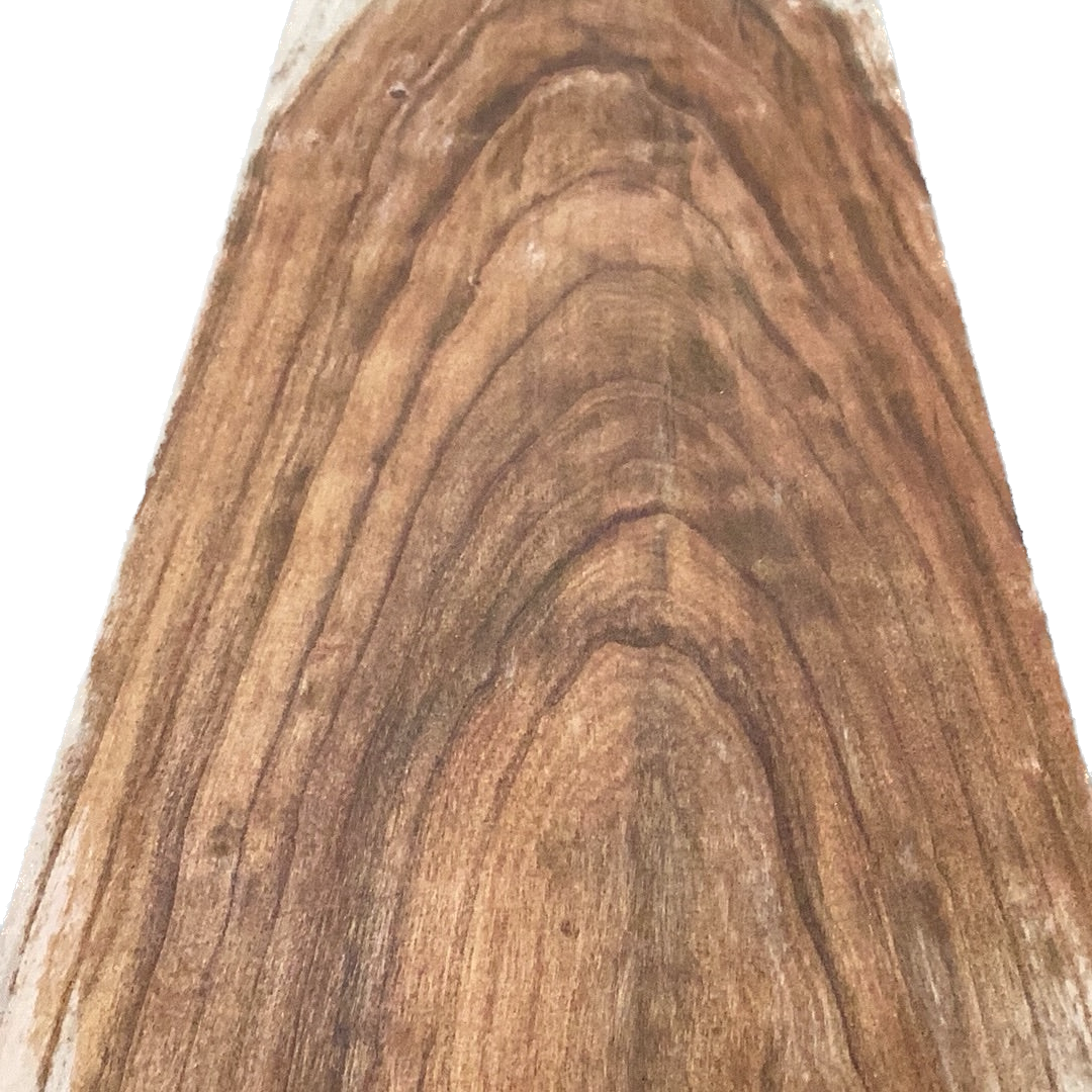 River Birch