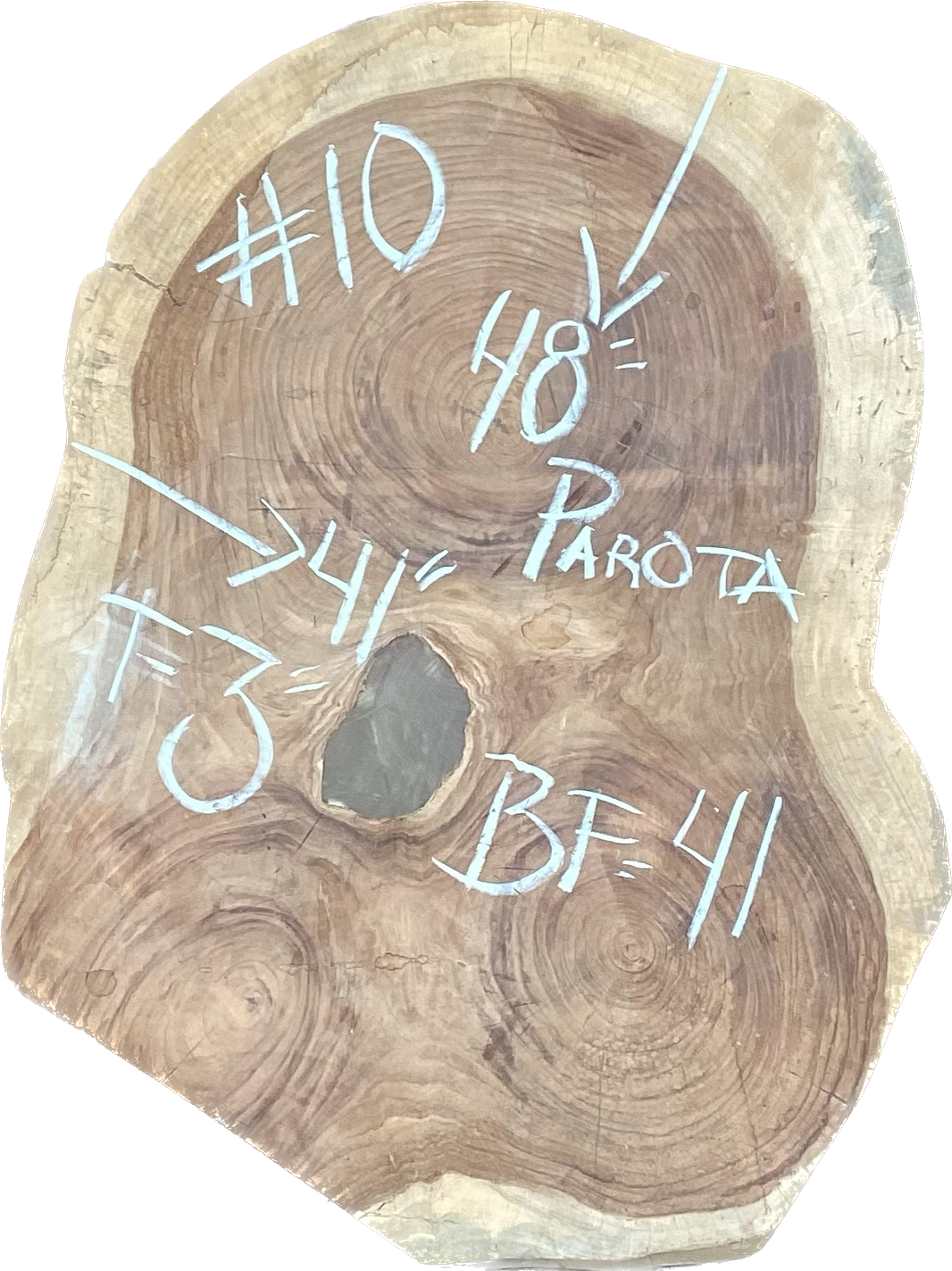 Giant Parota Crosscut Cookies - Imported from Costa Rica