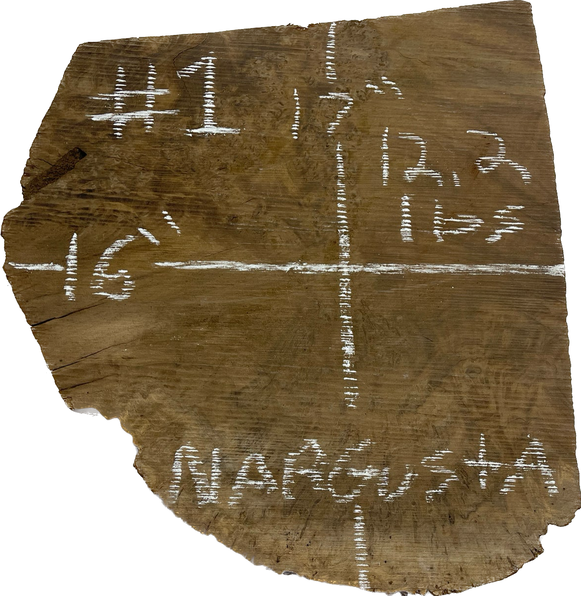 Nargusta Burls