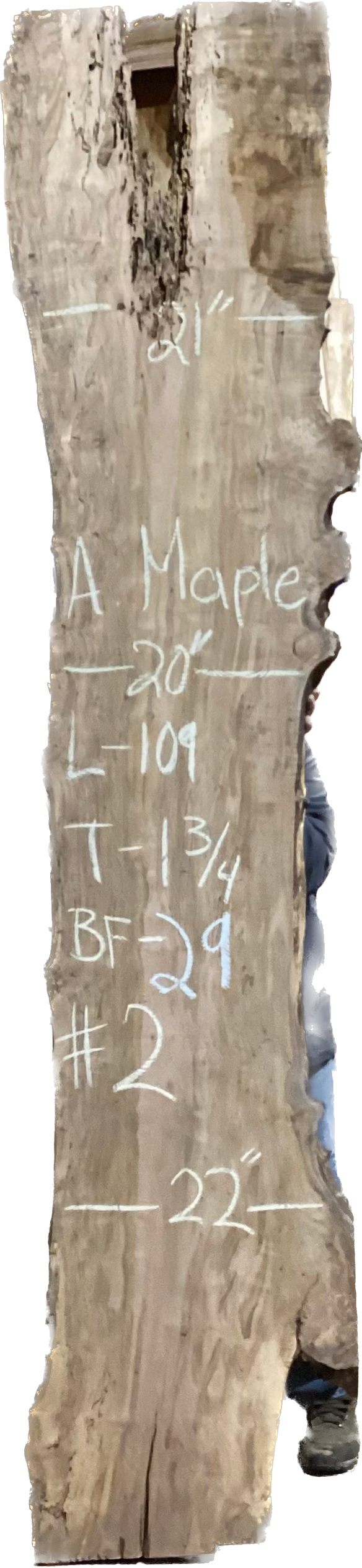 Ambrosia Maple Slabs