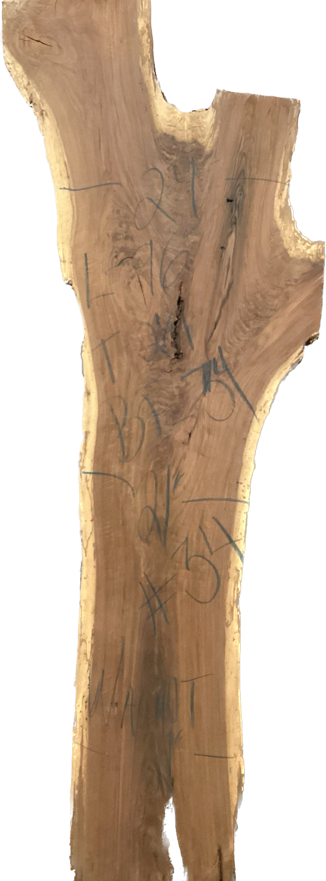Walnut Slabs 8/4- 1-100