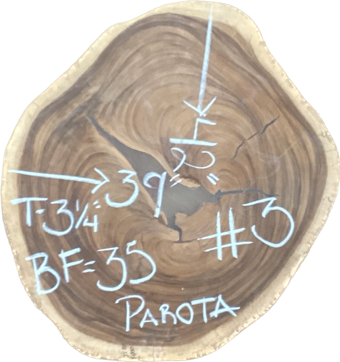 Giant Parota Crosscut Cookies - Imported from Costa Rica