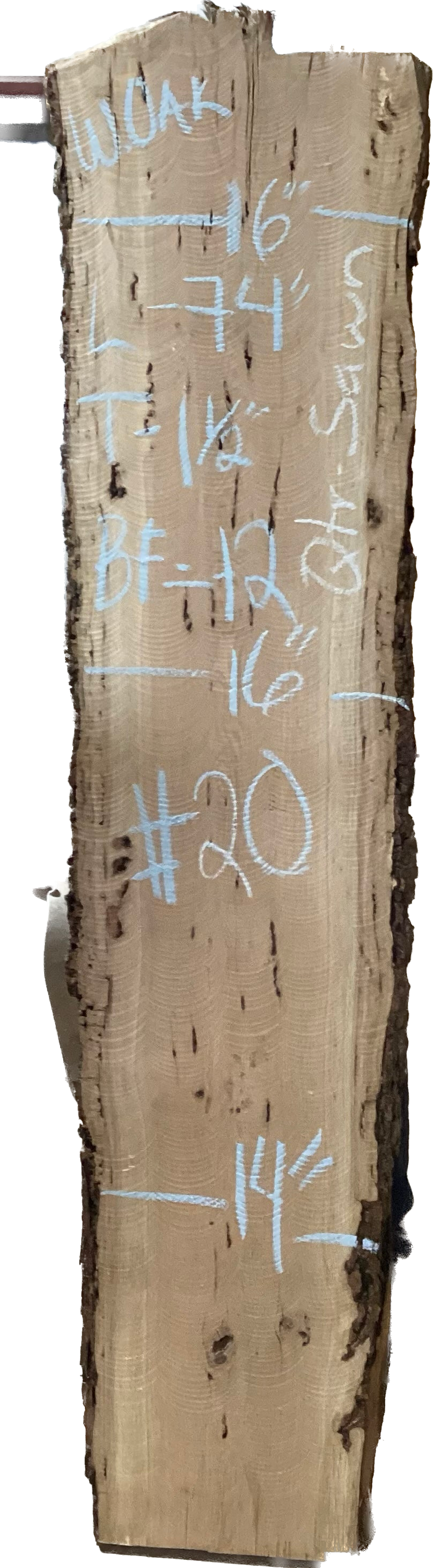 White Oak Slabs #101-200