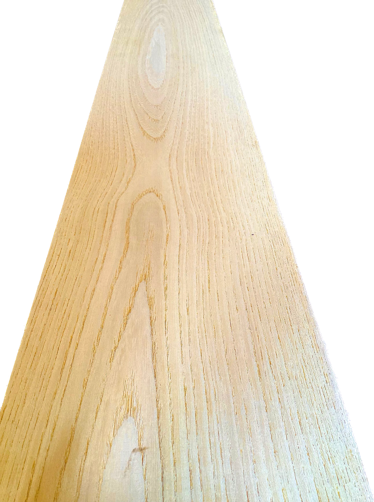 Catalpa 4/4