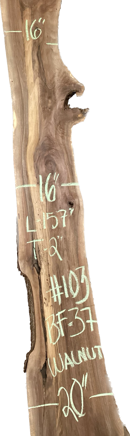 Walnut Slabs 8/4- 101-200