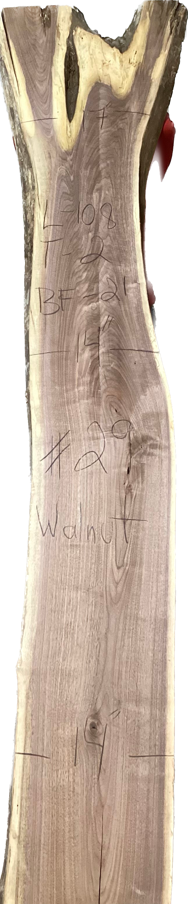 Walnut Slabs 8/4- 1-100