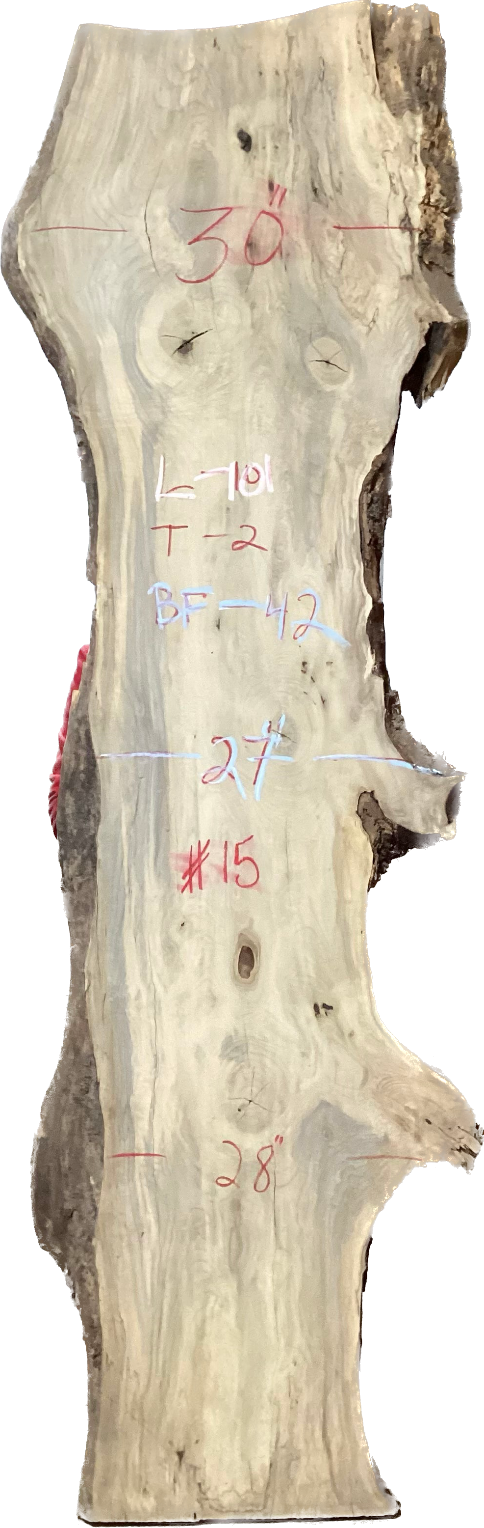 Magnolia Slabs