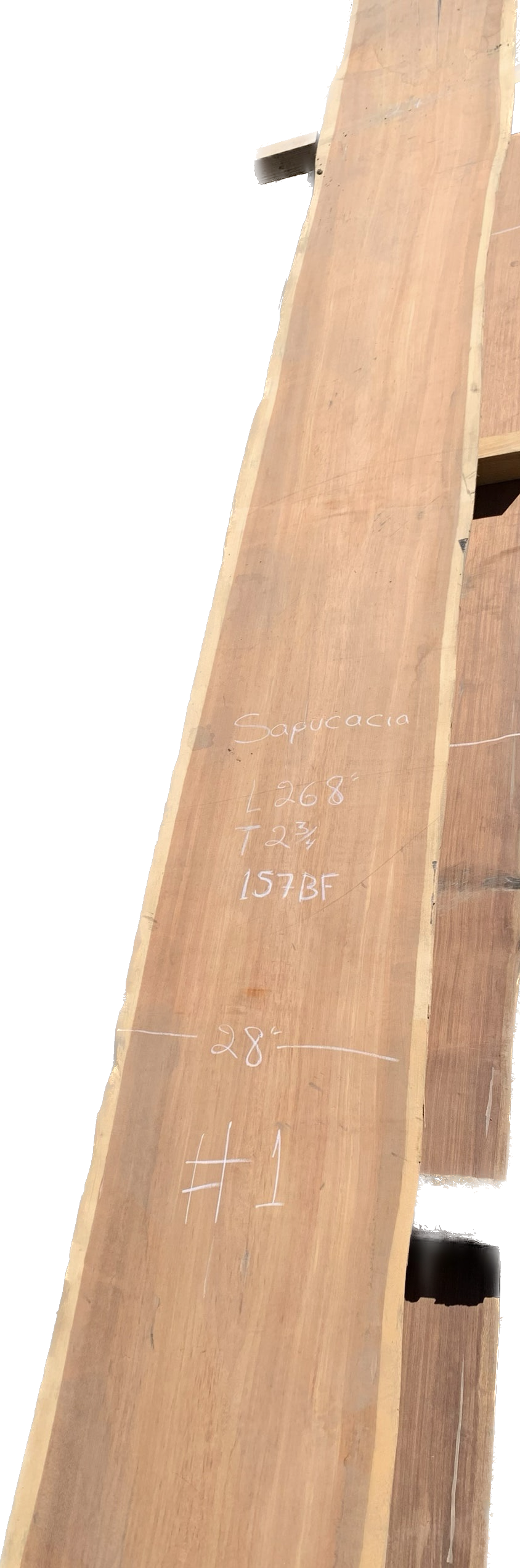 Sapucacia Wood