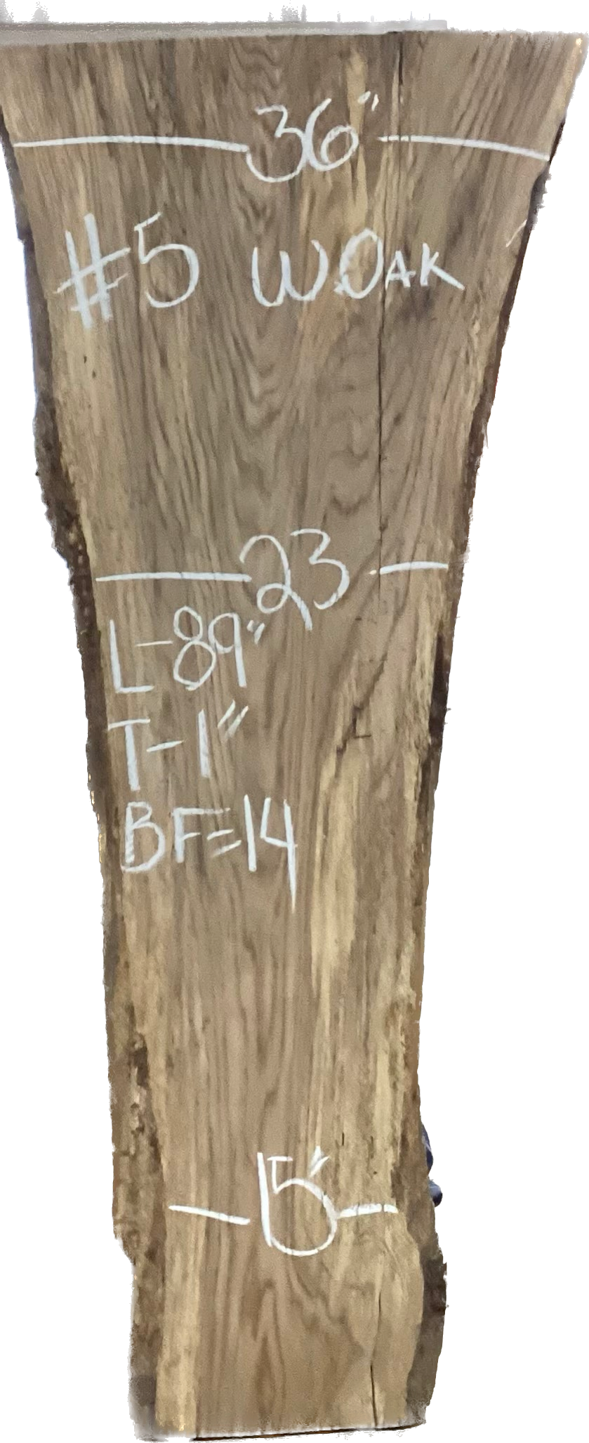 Oak Chestnut (Chestnut Oak) Slabs