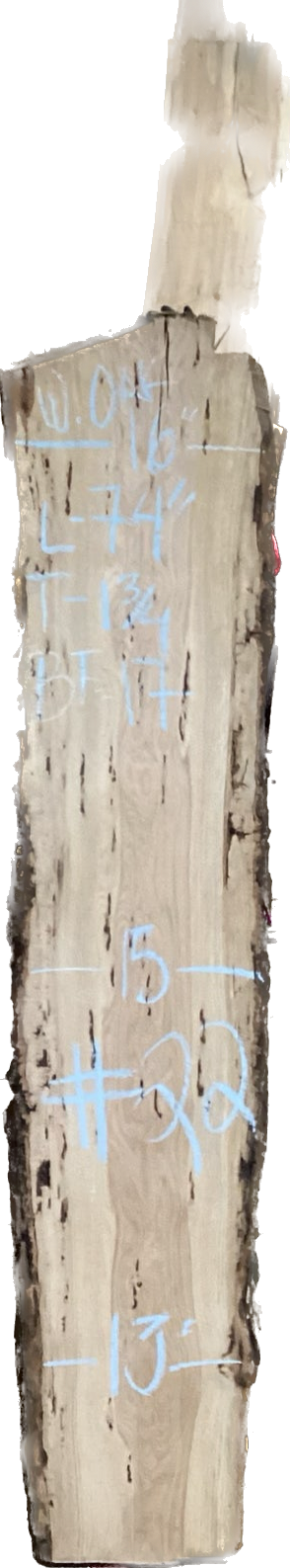 White Oak Slabs #101-200