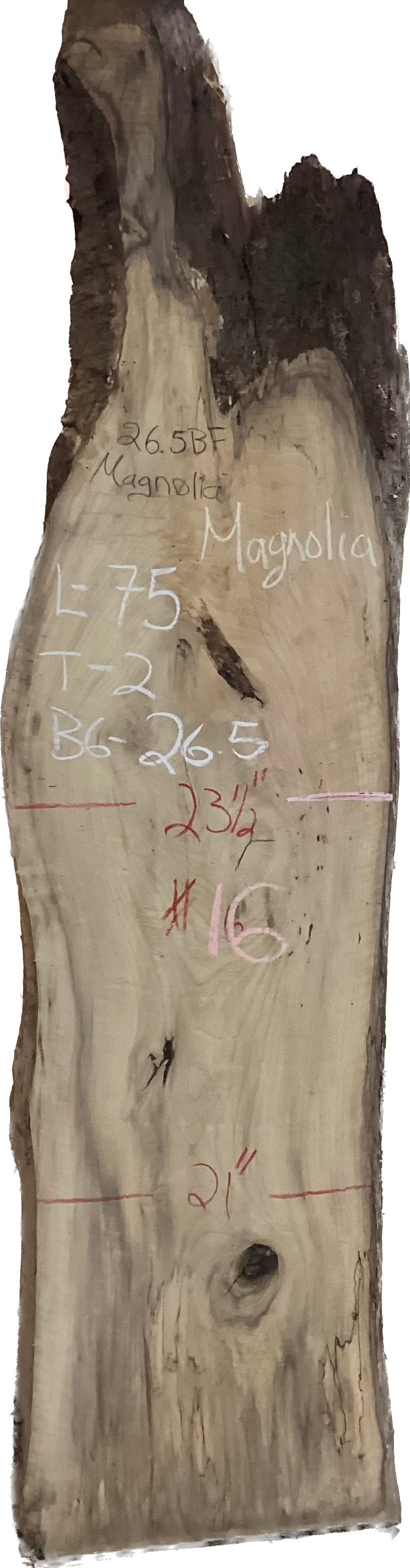 Magnolia Slabs
