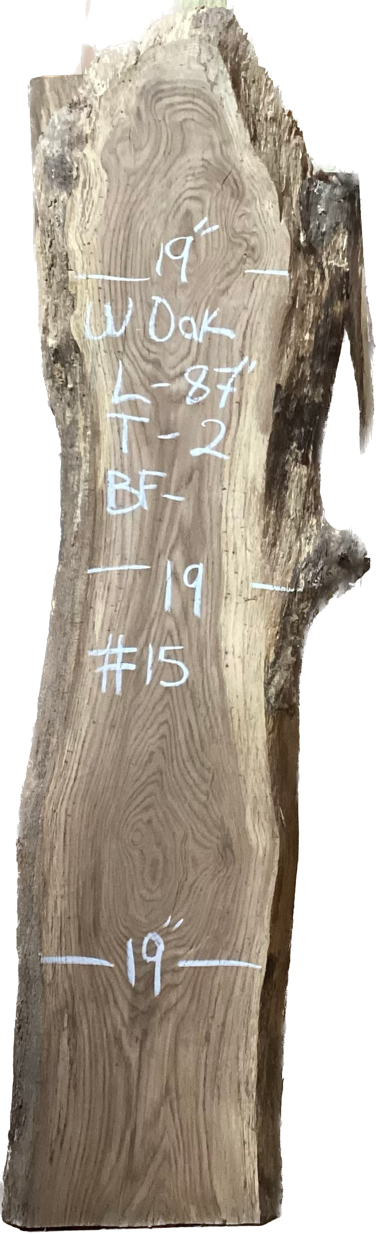 White Oak Slabs #101-200