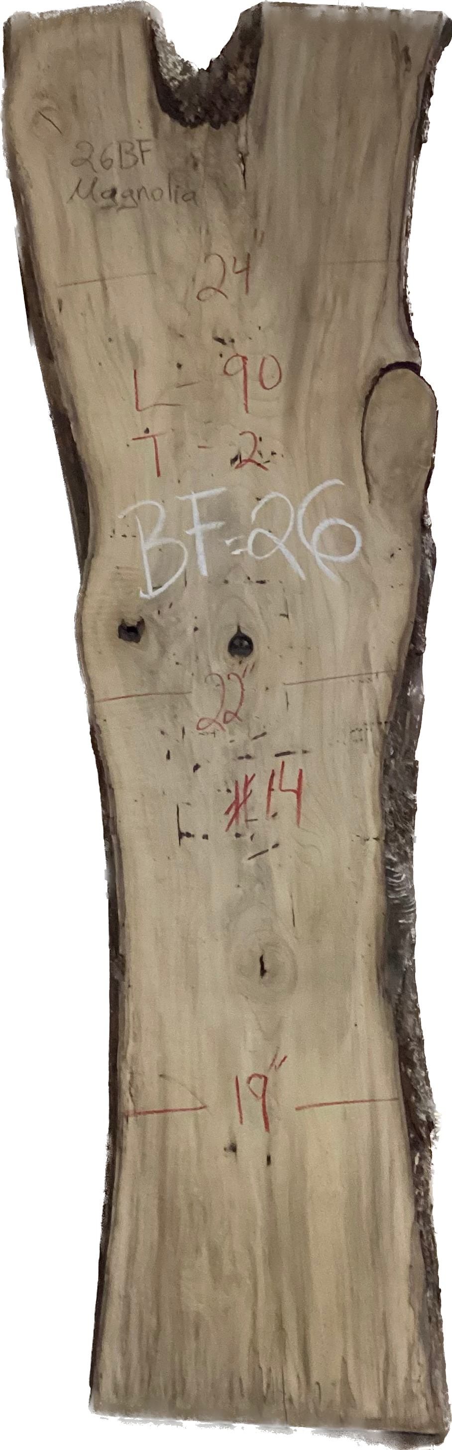 Magnolia Slabs