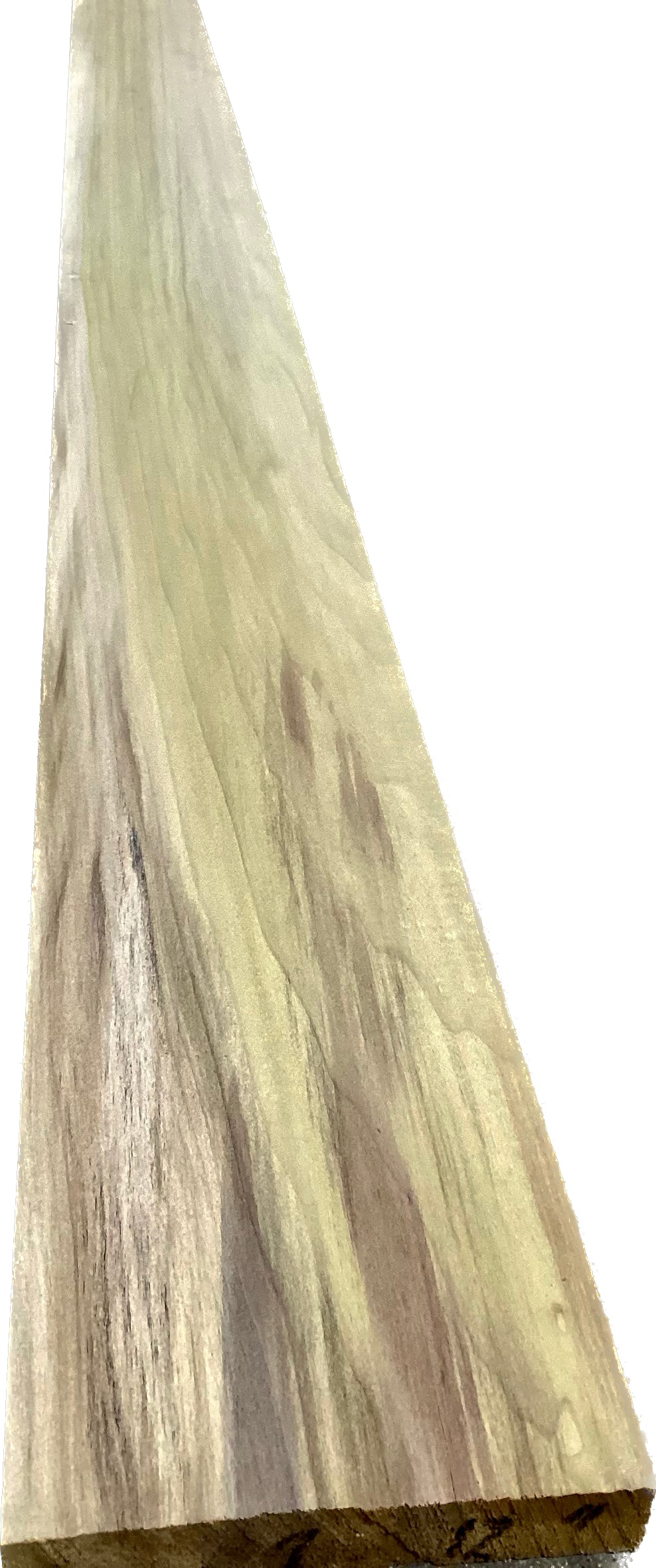 Poplar 4/4, 5/4, 7/4, & 8/4